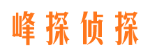 宣恩找人公司